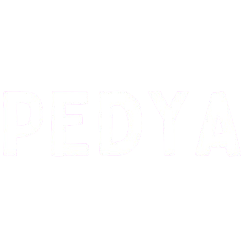 Digital Marketing Pedya
